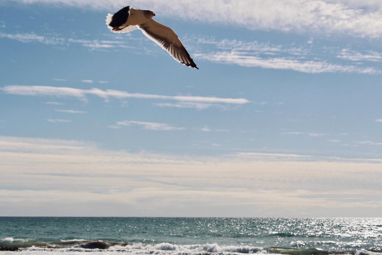 Atlas Wonders Coworking Surf Camp Taghazout Extérieur photo